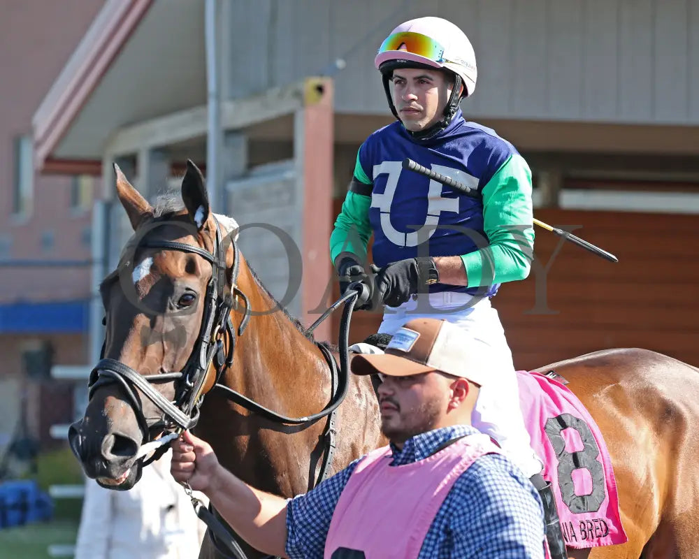 Greavette - The Malvern Rose Stakes 18Th Running 07-08-24 R07 Pid Paddock 02 Presque Isle Downs