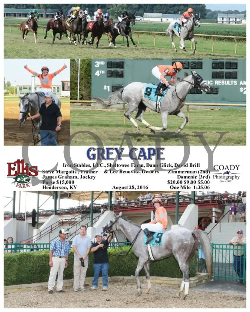Grey Cape - 082816 Race 09 Elp Ellis Park
