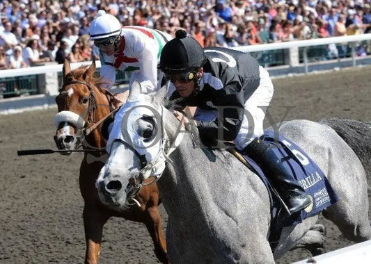 Grilla-President Of United Arab Emirates Cup Keeneland