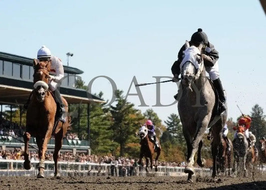 Grilla - President Of United Arab Emirates Cup Keeneland