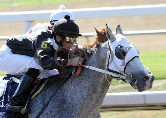 Grilla-President Of United Arab Emirates Cup Keeneland