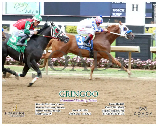 Gringoo - Heartland Futurity Trials 06-29-24 R09 Ind Action Indiana Grand