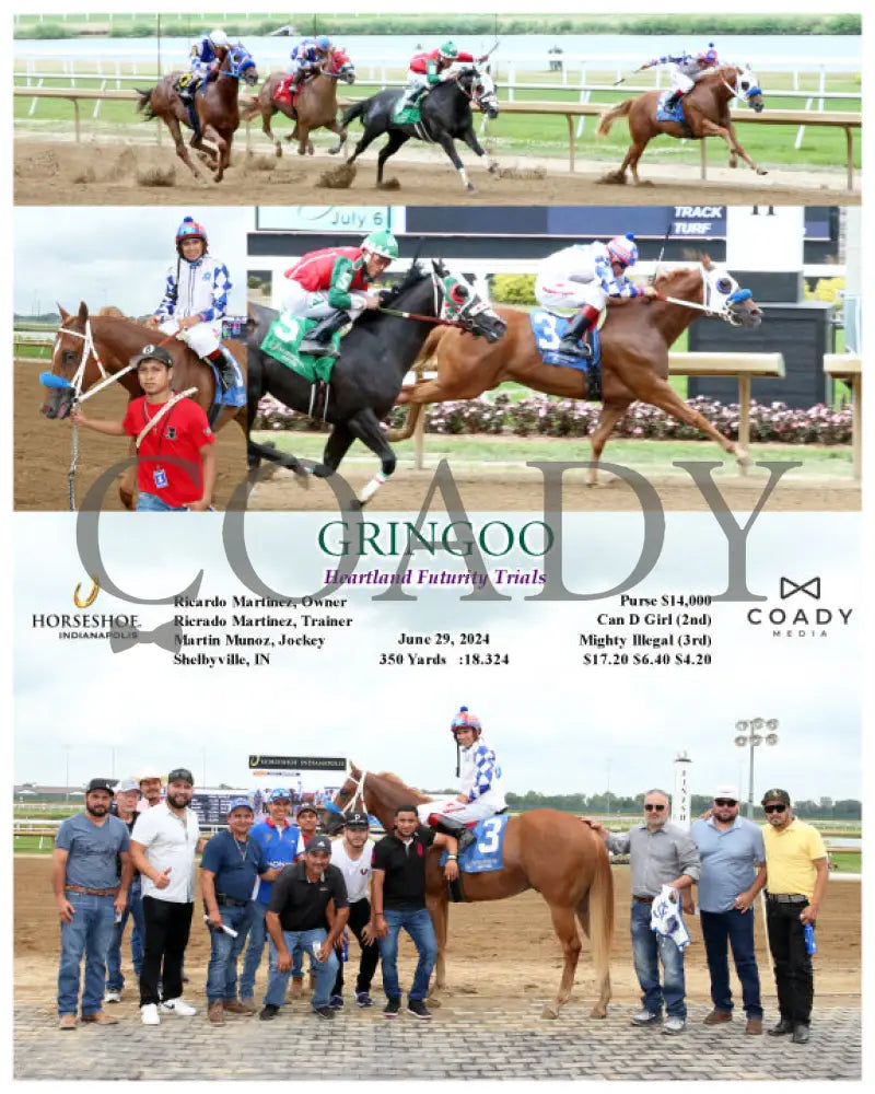 Gringoo - Heartland Futurity Trials 06-29-24 R09 Ind Indiana Grand