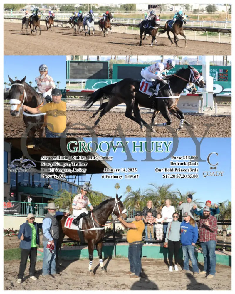 Groovy Huey - 01-14-25 R08 Tup Turf Paradise