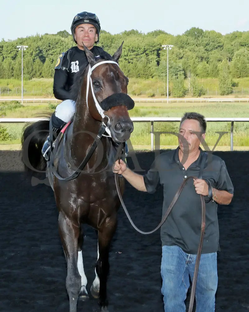 GROUNDED - The Avery Whisman Memorial Stakes - 08-11-25 - R07 - PID - Comeback Presque Isle Downs