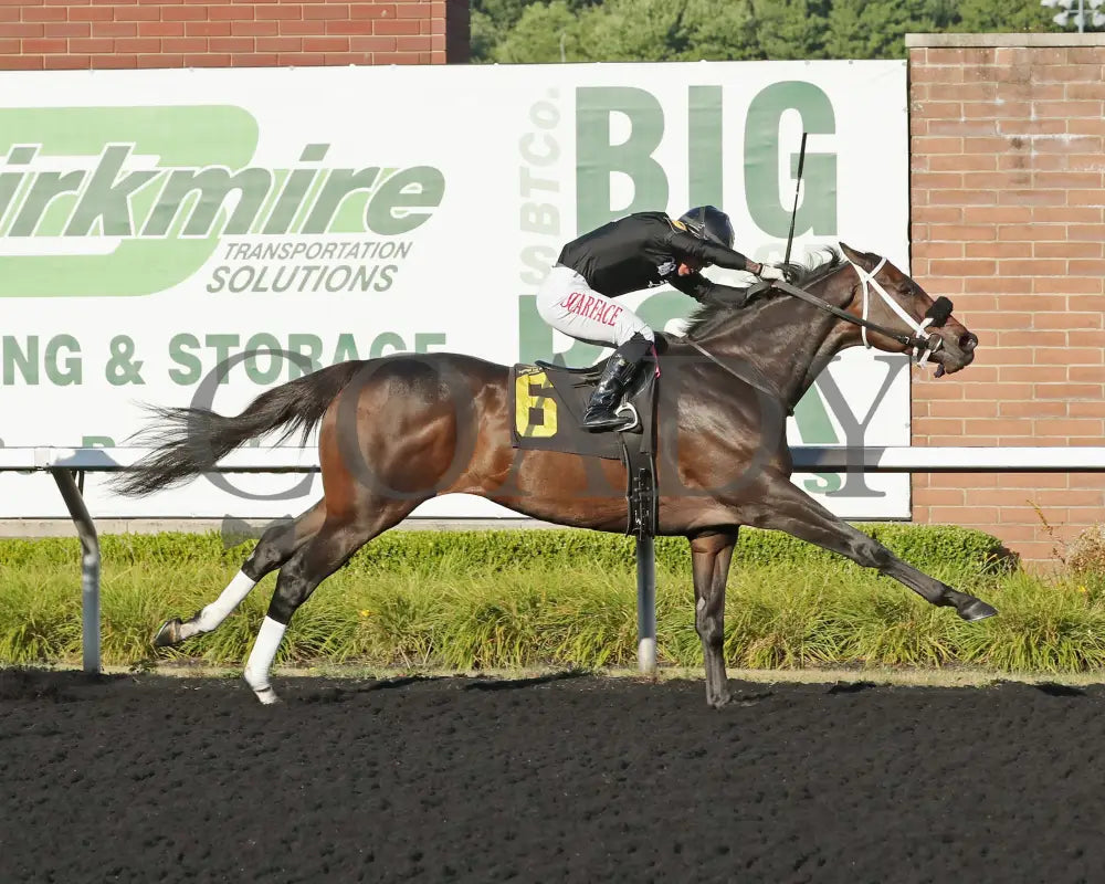 GROUNDED - The Avery Whisman Memorial Stakes - 08-11-25 - R07 - PID - Finish Presque Isle Downs