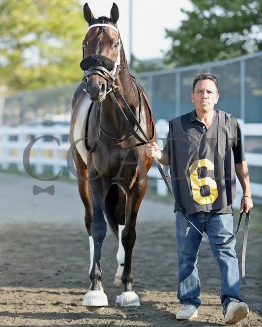 GROUNDED - The Avery Whisman Memorial Stakes - 08-11-25 - R07 - PID - Paddock 01 Presque Isle Downs