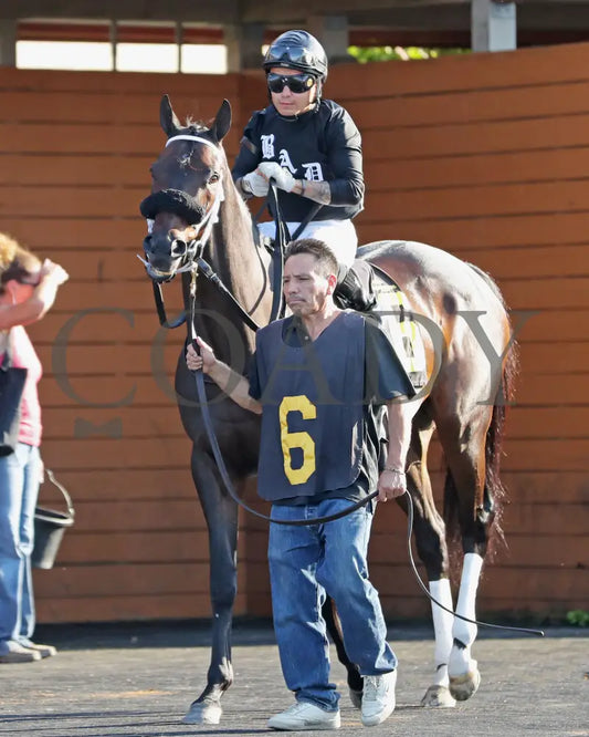 GROUNDED - The Avery Whisman Memorial Stakes - 08-11-25 - R07 - PID - Paddock 05 Presque Isle Downs