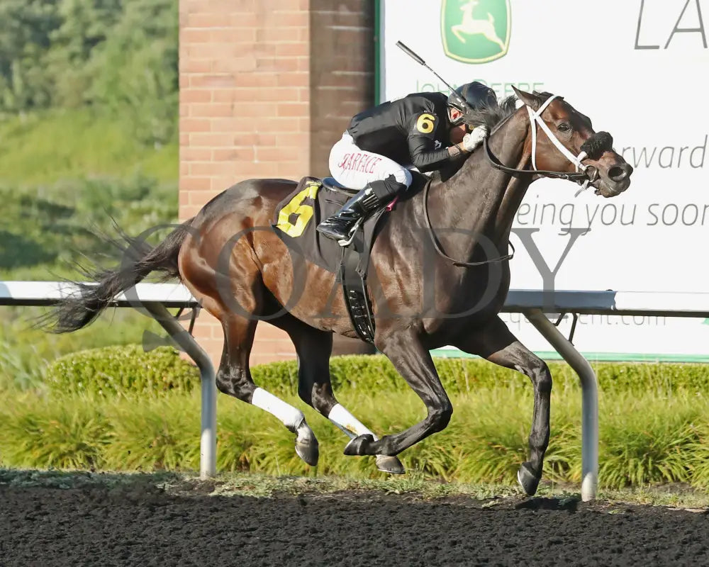 GROUNDED - The Avery Whisman Memorial Stakes - 08-11-25 - R07 - PID - Tight Finish 02 Presque Isle Downs