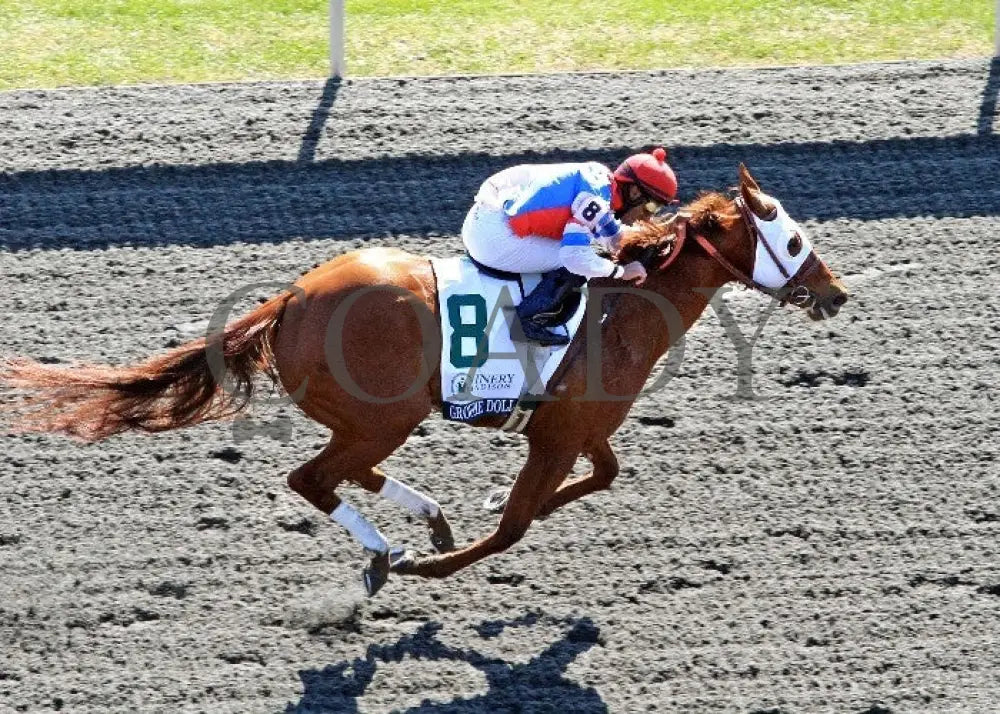 Groupie Doll - 041212 Race 08 Aerial Keeneland