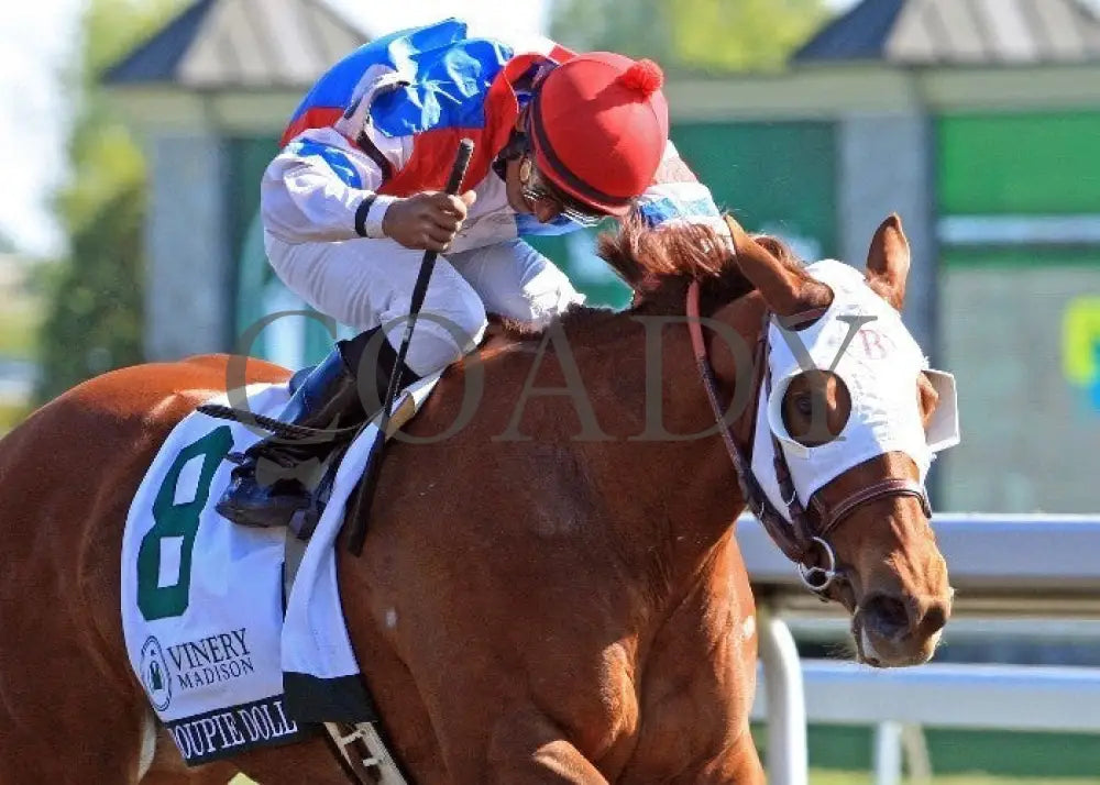 Groupie Doll - 041212 Race 08 Fin2 Keeneland