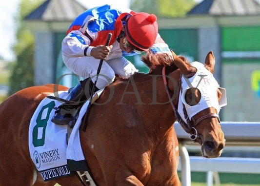 Groupie Doll - 041212 Race 08 Fin2 Keeneland