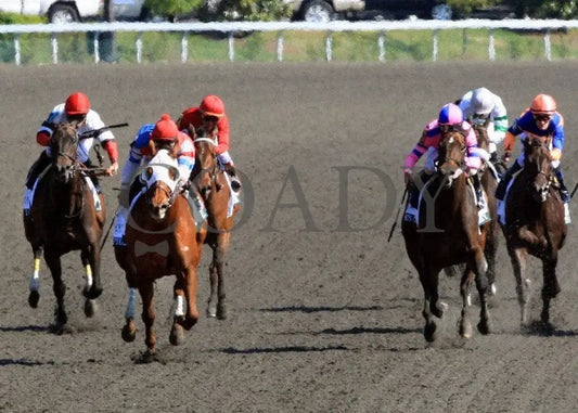 Groupie Doll - 041212 Race 08 Head On Keeneland
