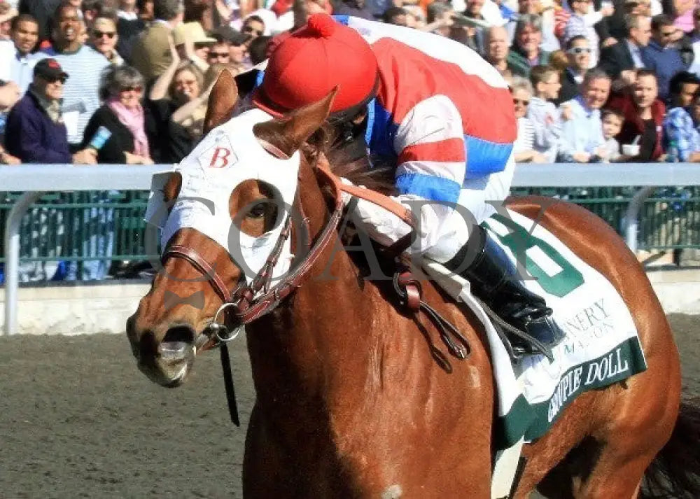 Groupie Doll - 041212 Race 08 Inside Fin Keeneland