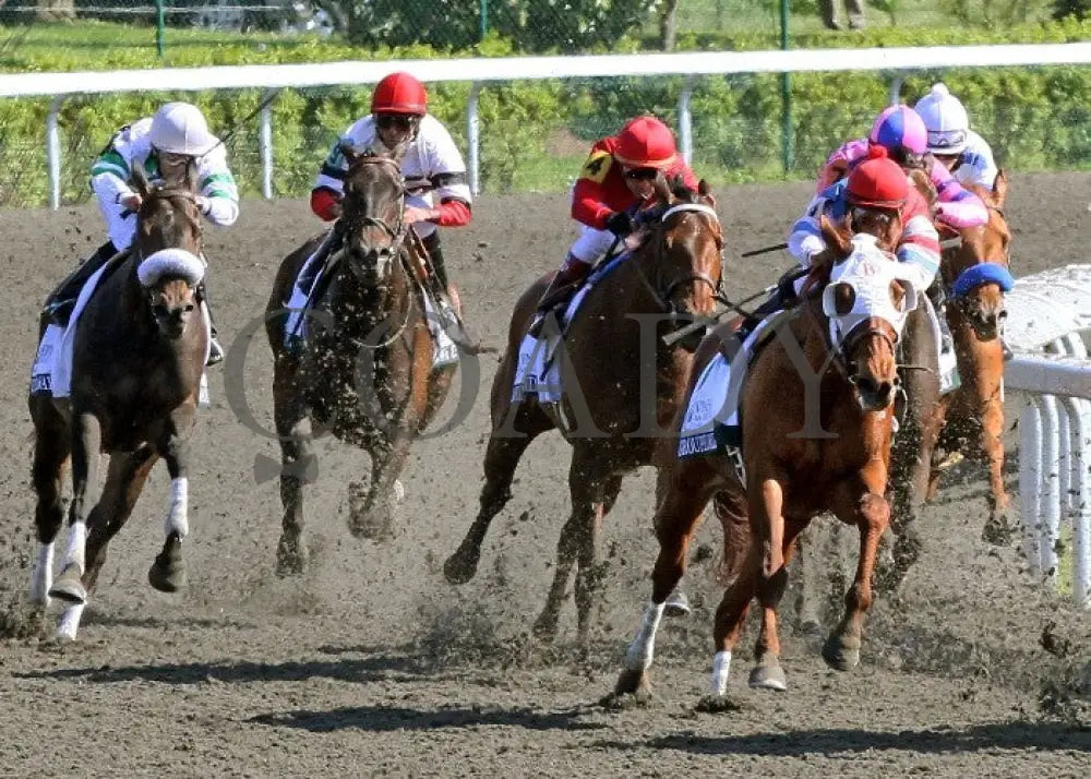 Groupie Doll - 041212 Race 08 Turn Keeneland