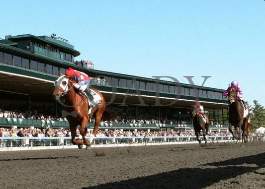 Groupie Doll - 041212 Race 08 Under Rail Keeneland