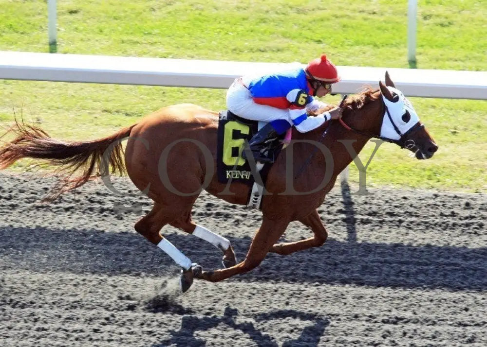Groupie Doll - 100612 Race 06 Aerial Keeneland