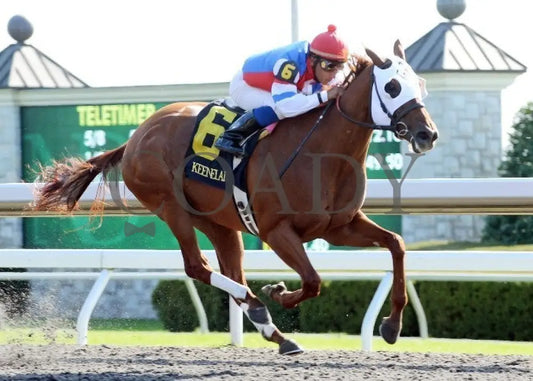 Groupie Doll - 100612 Race 06 Finsh 2 Keeneland