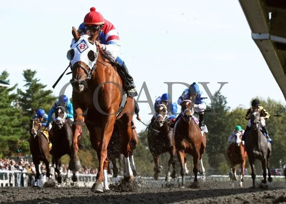 Groupie Doll - 100612 Race 06 Under Rail Keeneland