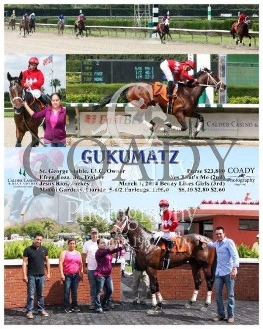 GUKUMATZ - 030114 - Race 02 - CRC - Coady Media - Kurtis Coady Photography