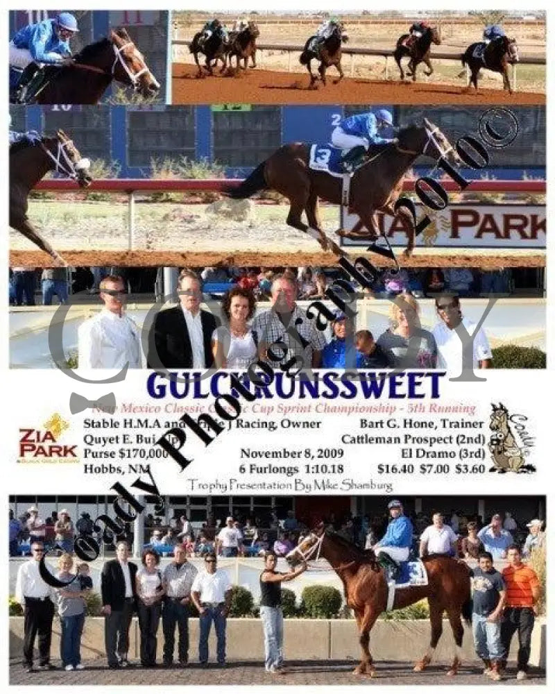 Gulchrunssweet - 9 12 2009 Zia Park