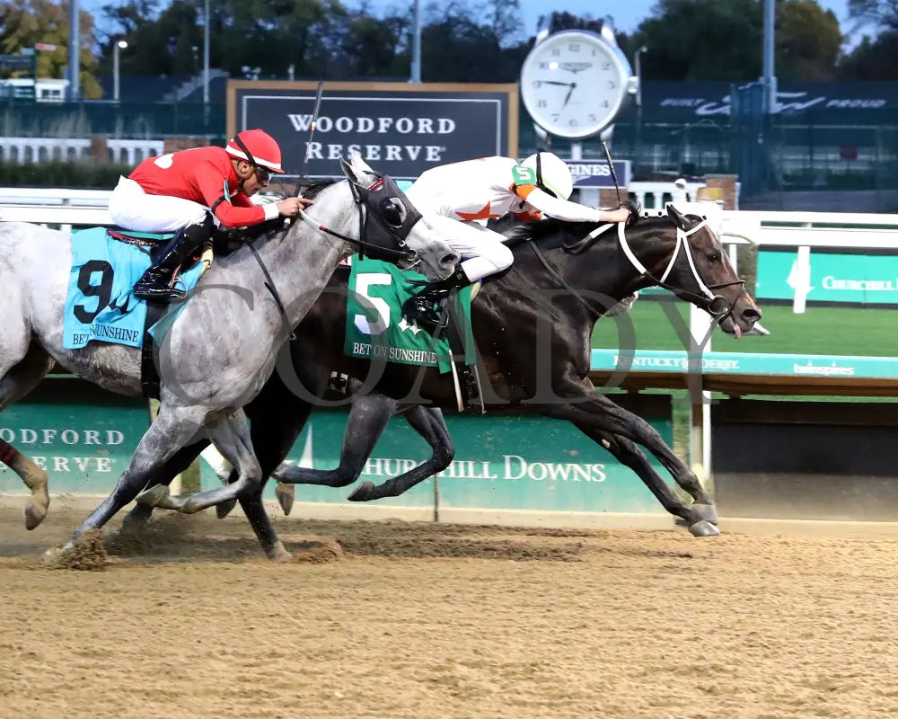 Gulfport - The Bet On Sunshine 16Th Running 11-02-24 R10 Churchill Downs Finish 01