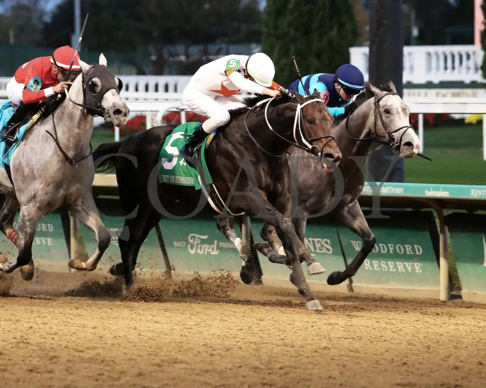 Gulfport - The Bet On Sunshine 16Th Running 11-02-24 R10 Churchill Downs Finish 03