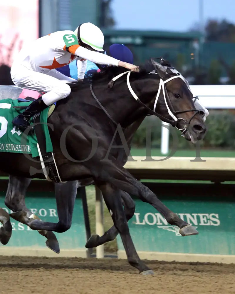 Gulfport - The Bet On Sunshine 16Th Running 11-02-24 R10 Churchill Downs Finish 04