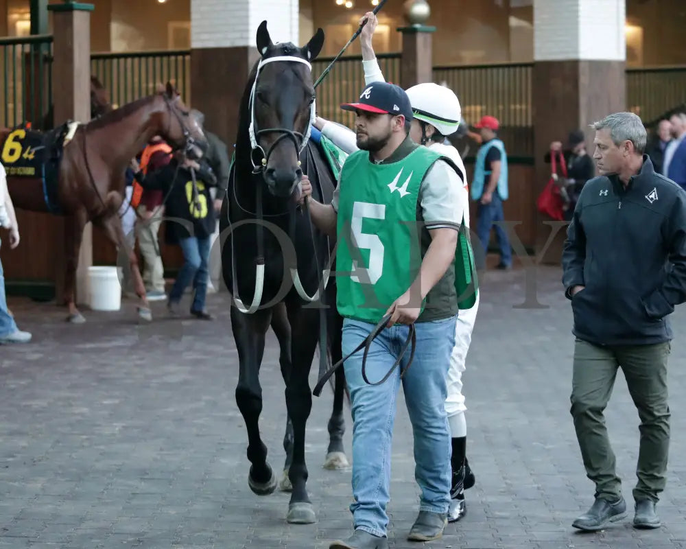 Gulfport - The Bet On Sunshine 16Th Running 11-02-24 R10 Churchill Downs Paddock 01