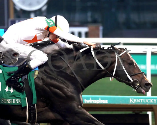 Gulfport - The Bet On Sunshine 16Th Running 11-02-24 R10 Churchill Downs Tight Finish 01