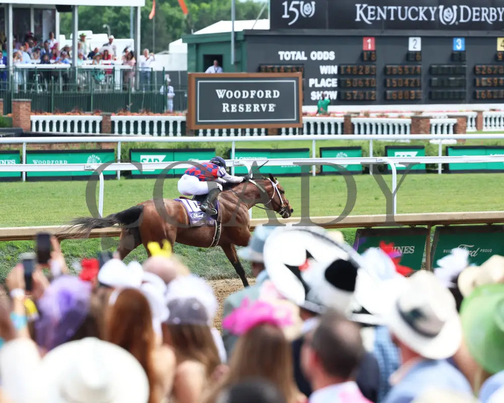 Gun Pilot - 050424 Race 10 Cd The Churchill Downs G1 Crowd Finish 01