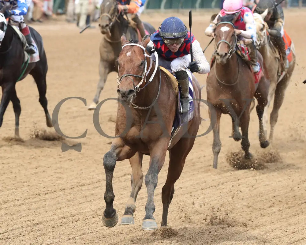 Gun Pilot - 050424 Race 10 Cd The Churchill Downs G1 Inside Finish 02