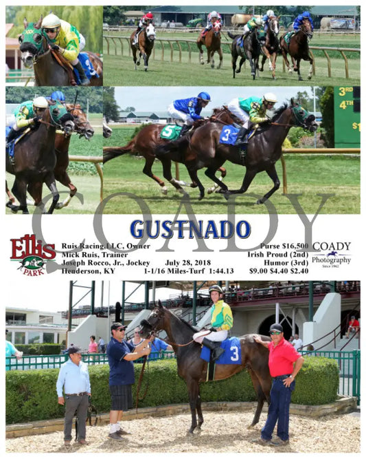 Gustnado - 072818 Race 03 Elp Ellis Park