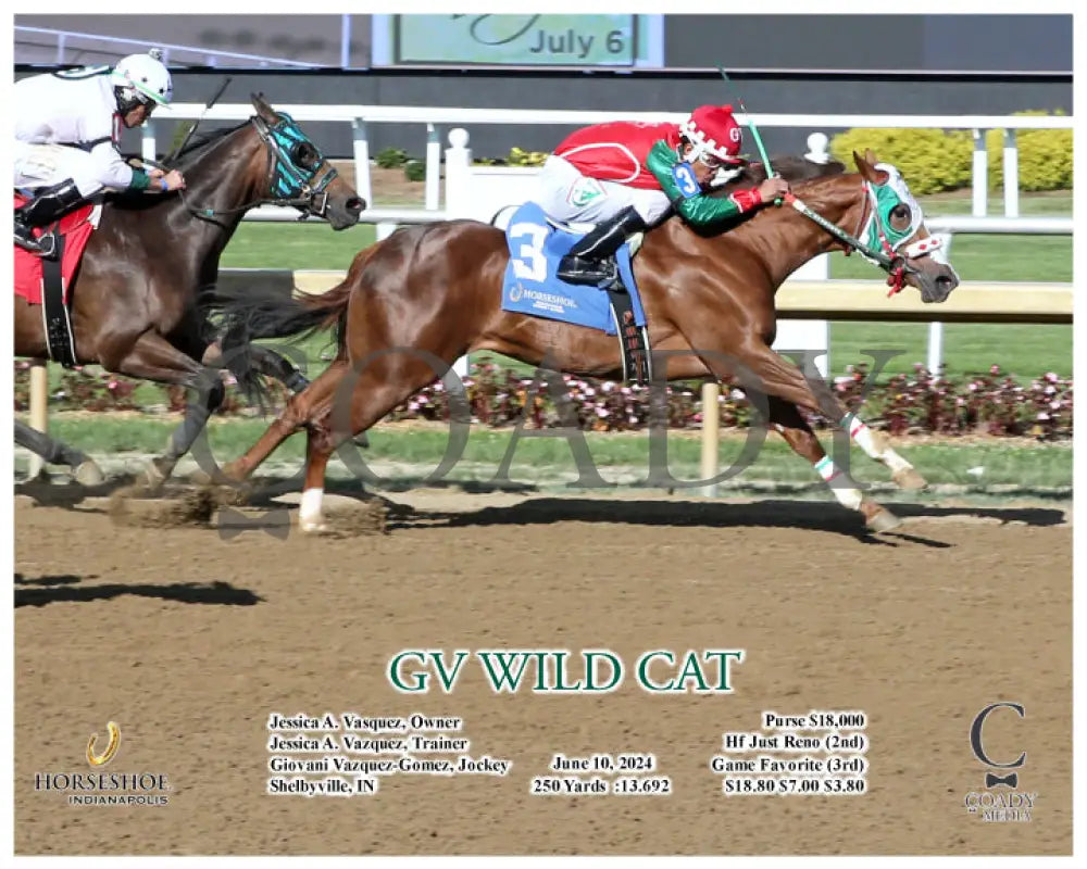 Gv Wild Cat - 06-10-24 R09 Ind Action Indiana Grand