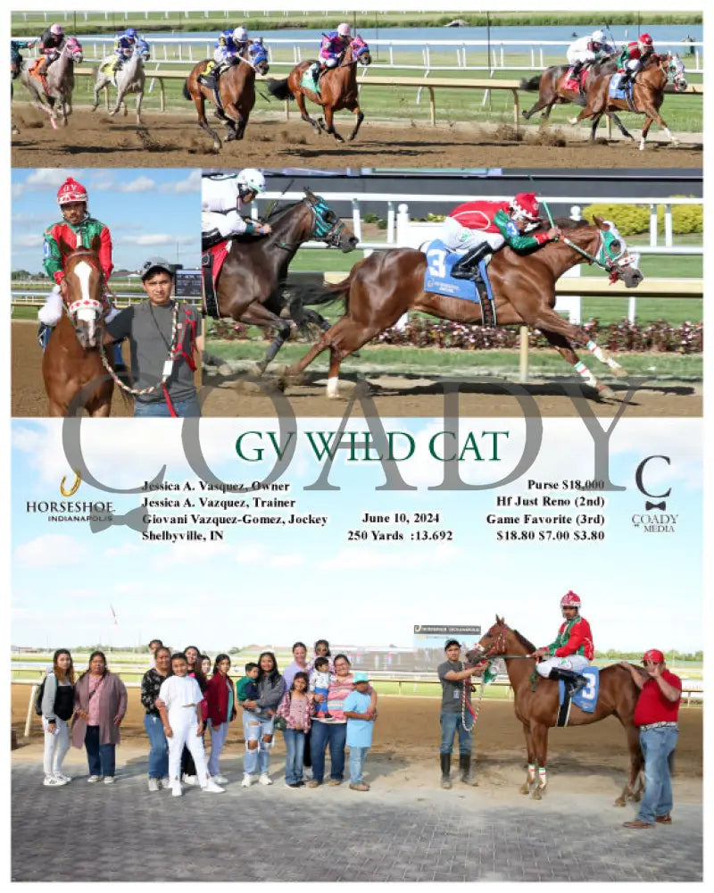 Gv Wild Cat - 06-10-24 R09 Ind Indiana Grand