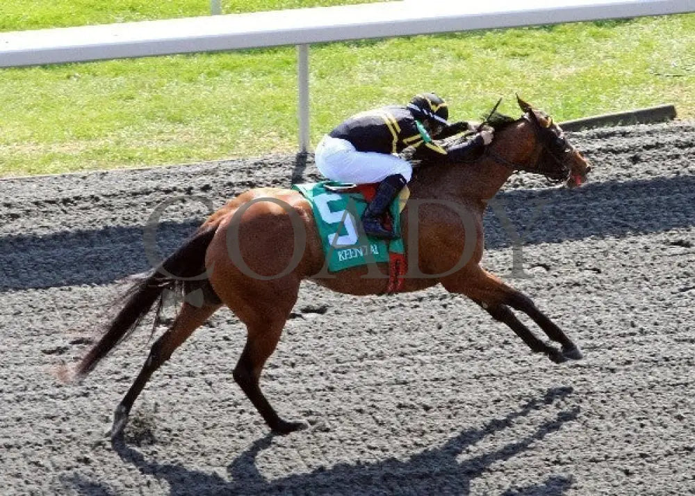 Gypsy Robin - 041512 Race 08 Aerial Keeneland