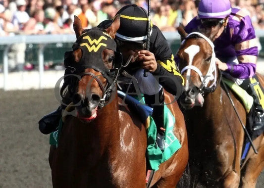 Gypsy Robin - 041512 Race 08 Inside Fin Keeneland