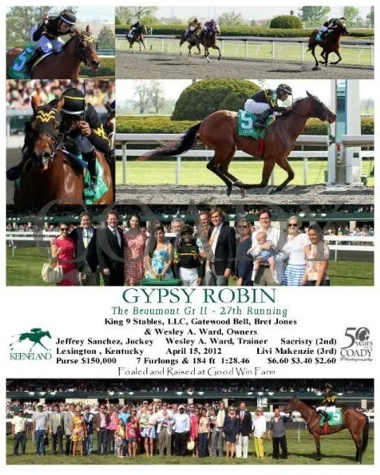 Gypsy Robin - 041512 Race 08 Keeneland