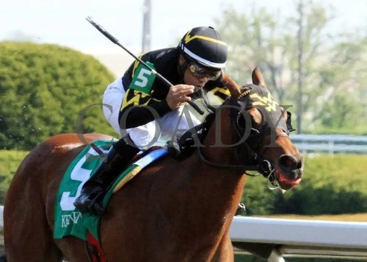 Gypsy Robin - 041512 Race 08 Tight Fin Keeneland