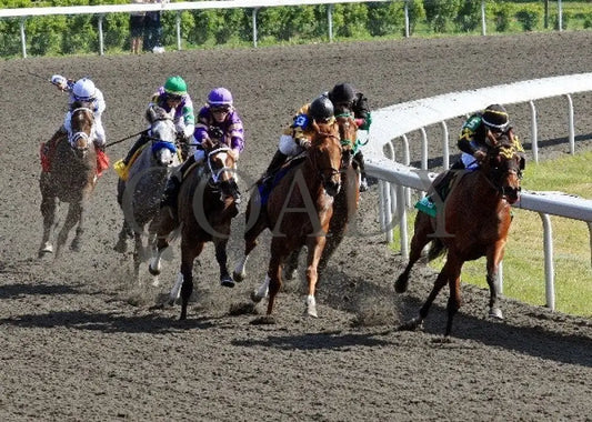 Gypsy Robin - 041512 Race 08 Turn Keeneland