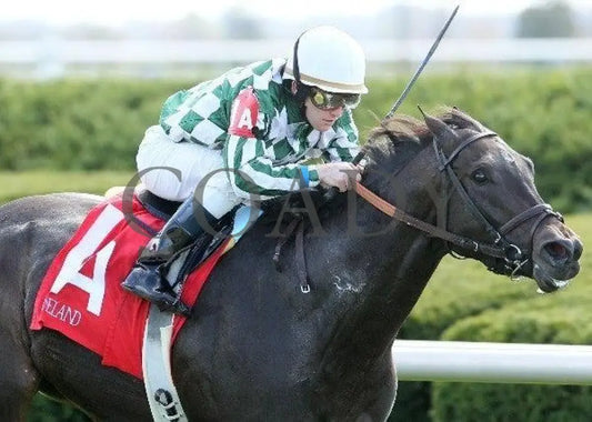 Halloween Party - 3 102211 Race 04 Keeneland