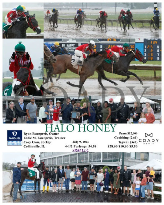 Halo Honey - 07-09-24 R02 Fan Fanduel Sportsbook Horse Racing