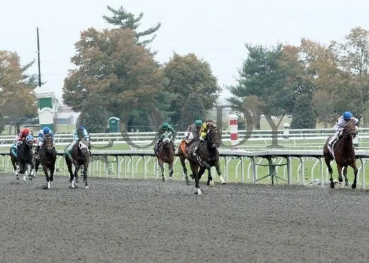 Hammers Terror - 1 102011 Race 05 Keeneland