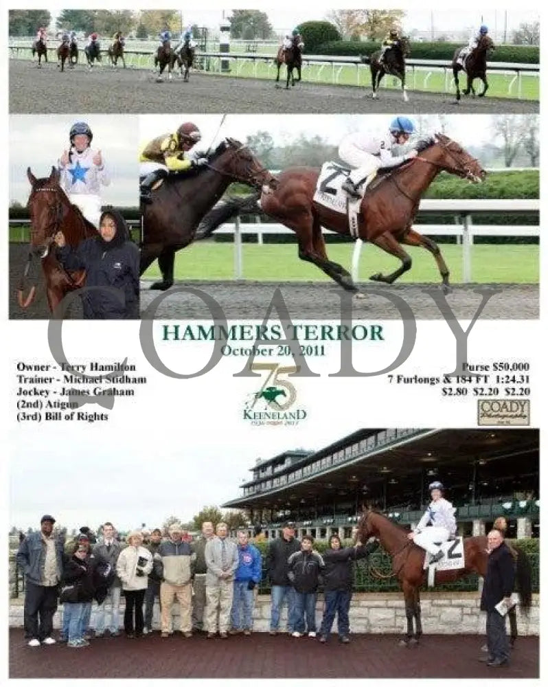 Hammers Terror - 102011 Keeneland