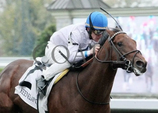 Hammers Terror - 3 102011 Race 05 Keeneland