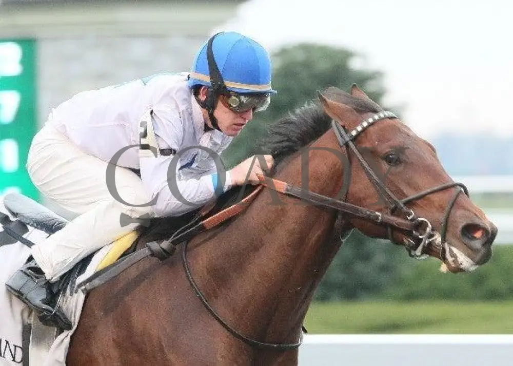 Hammers Terror - 4 102011 Race 05 Keeneland