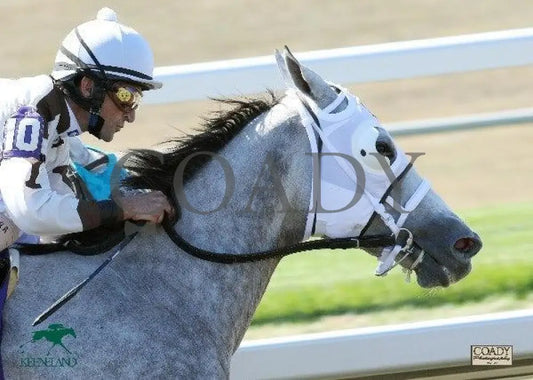 Hancho - The Jazil Keeneland