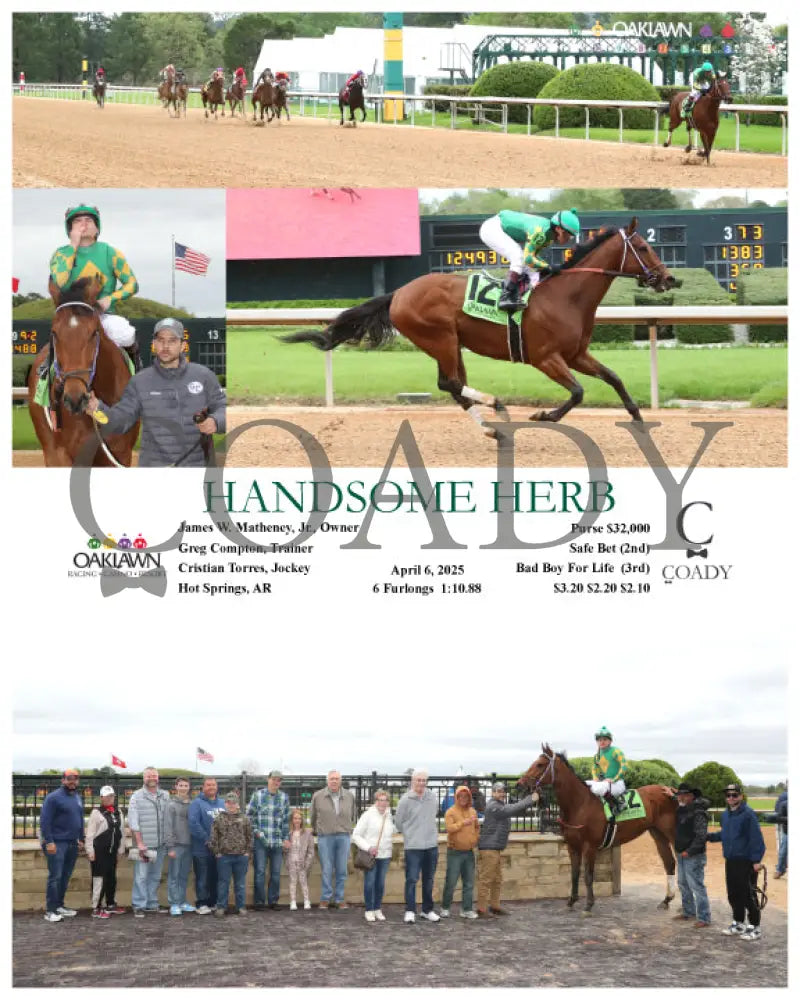 HANDSOME HERB - 04-06-25 - R06 - OP Oaklawn Park