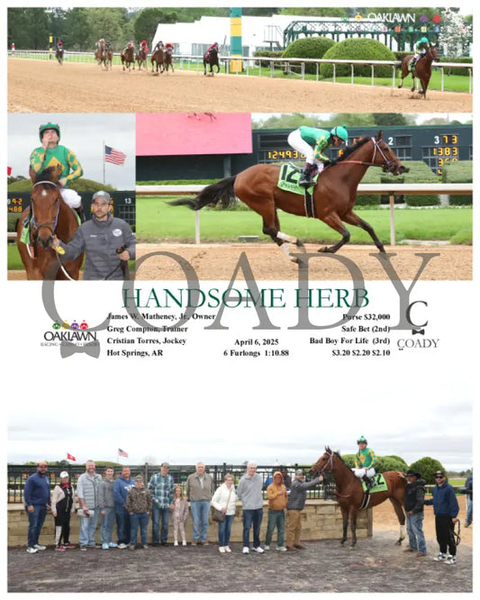 HANDSOME HERB - 04-06-25 - R06 - OP Oaklawn Park