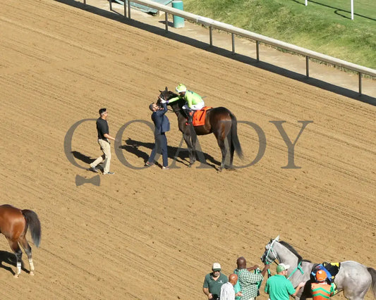 Happy Is A Choice - 091424 Race 09 Cd The Louisville Thoroughbred Society Come Back 01 Churchill